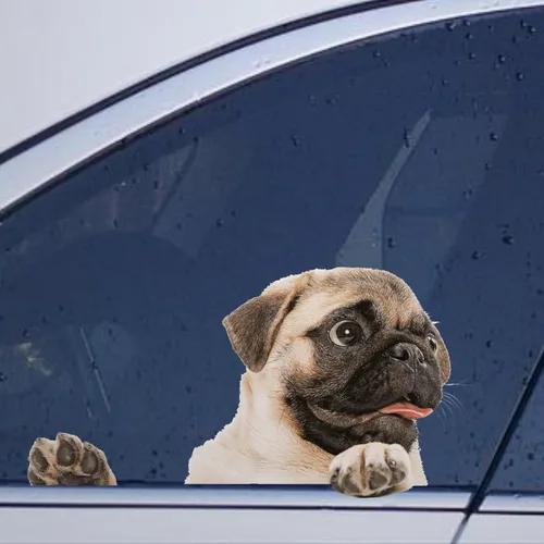 Vista 41 de Calcomanías de perro caniche, divertidas calcomanías de vinilo troqueladas para automóvil, laptop, parachoques Estilo-37