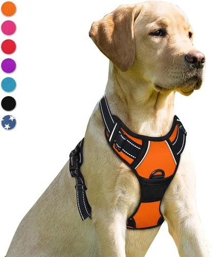 Vista 84 de BARKBAY - Arnés para perro sin tirones con clip frontal, material resistente y reflectante, asa de fácil control para pasear perros grandes