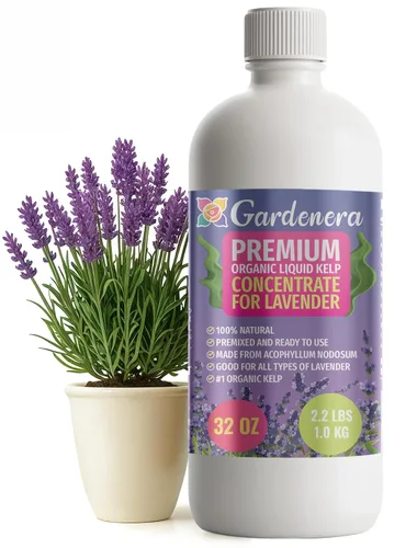 Vista 90 de GARDENERA Superalimento orgánico prémium de algas marinas y algas marinas para plantas AROID - 32 oz - Concentrado de fertilizante líquido de algas