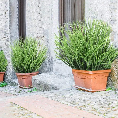 Vista 5 de DVGUN 4 unidades de plástico artificial para exteriores, resistente a los rayos UV, resistente a los rayos UV, césped de trigo para plantas de casa