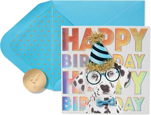 Vista 10 de Papyrus Tarjeta de cumpleaños para perros (Celebrating You Today)