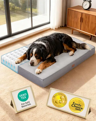 Vista 21 de OhGeni Cama ortopédica para perros pequeños, espuma viscoelástica 01-gris