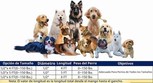 Vista 6 de Correa de perro resistente para perros de raza grande, mediana y pequeña, correa de perro reflectante con asa cómoda, correas de cuerda