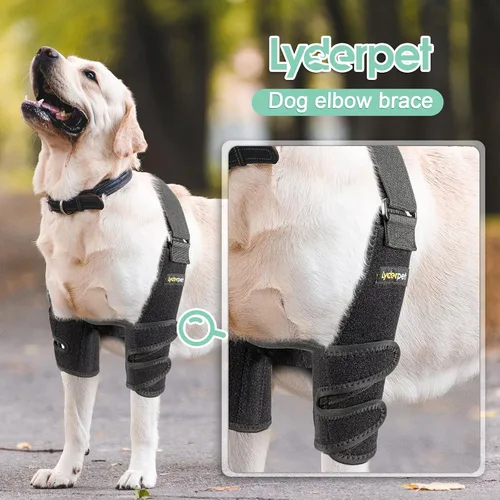 Vista 3 de Codera para perro con férula de metal, almohadillas protectoras de codo Hygroma para perros, callos de hombro, artritis, displasia, dislocación