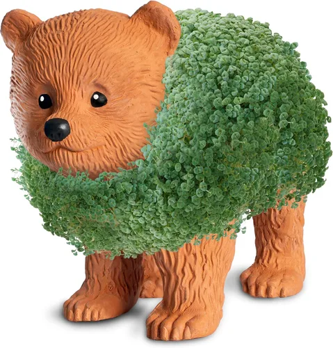 Vista 3 de Chia Pet Bear Cub con paquete de semillas, maceta decorativa de cerámica, fácil de hacer y divertido de cultivar, regalo novedoso, perfecto