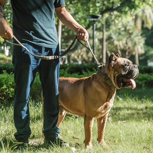 Vista 8 de EXCELLENT ELITE SPANKER Correa táctica militar para perro, clips de gancho de aluminio espaciales, correa elástica para perro con 2 asas de control