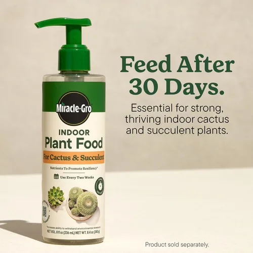 Vista 9 de Miracle-Gro Mezcla para macetas de interior para cactus y suculentas, mezcla para macetas de cactus y suculentas de drenaje rápido con alimentos