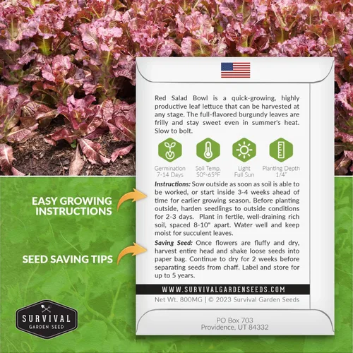 Vista 2 de Semillas de lechuga roja para plantar, 1 paquete con instrucciones para plantar y cultivar lechuga de hoja suelta en tu huerto casero, variedad