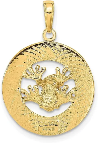 Vista 3 de Collar con dije de rana de Puerto Rico de oro amarillo de 14 quilates para viaje transporte destino joyería fina para mujeres regalos para ella