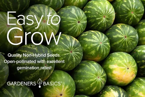 Vista 6 de Gardeners Basics, semillas de melón para plantar en el jardín de casa, paquetes de 5 variedades - Hales Best Cantaloupe, Crimson Sweet Watermelon