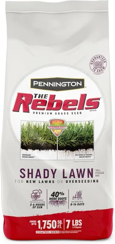 Vista 13 de Pennington The Rebels mix de semillas de césped Tall Fescue para zonas sombrías, 3 libras Semillas de césped para césped, semillas de césped