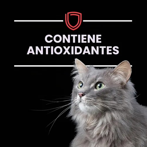 Vista 9 de Purina Pro Plan Vet Diets DM Dietetic Management Alimento húmedo para gatos, (24) 5.5 onzas