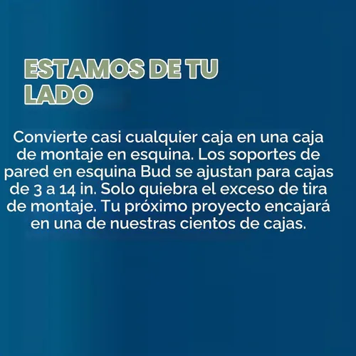 Vista 2 de Brightstar WorkSafe 2217 Linterna LED intrínsecamente segura Luz de mano a prueba de explosiones impermeable para trabajo, camping, emergencias