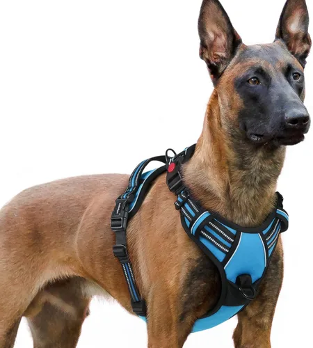 Vista 56 de Rabbitgoo - Arnés para perro de tamaño pequeño, actualizado, fácil de poner y quitar con 3 hebillas Sin tirones, sin estrangulamiento, caminar