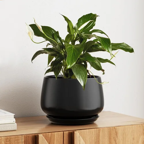 Vista 7 de LE TAUCI Macetas de cerámica, juego de 2, macetas de 10 + 12 pulgadas, macetas elegantes para plantas de interior, maceta resistente con orificio