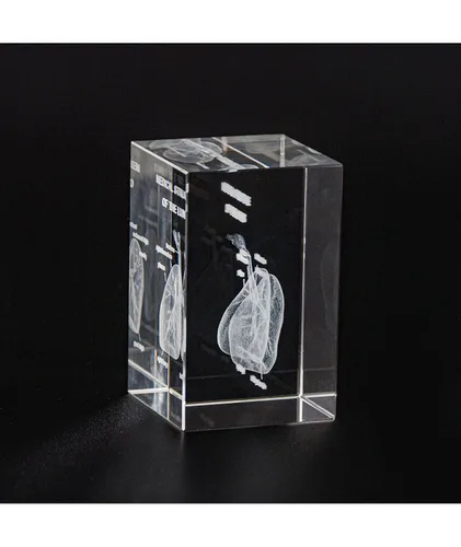 Vista 7 de Ultrassist Modelo 3D de Pulmón Humano de Cristal, Modelo Anatómico Grabado Láser para Decoración de Hogar y Oficina, Regalos para Neumólogos