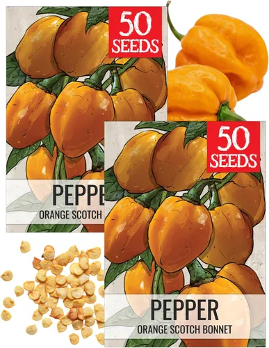 Vista 53 de Seed Needs - Semillas de pimiento arcoíris para plantar verduras, 1 paquete