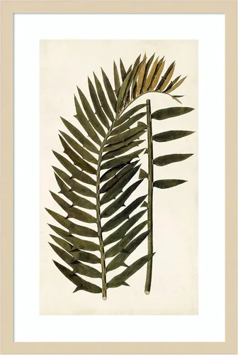 Vista 14 de Amanti Art Vision Studio - Lienzo decorativo para pared, 24 x 17 pulgadas, variedades de hojas VIII, arte de pared de naturaleza, decoración