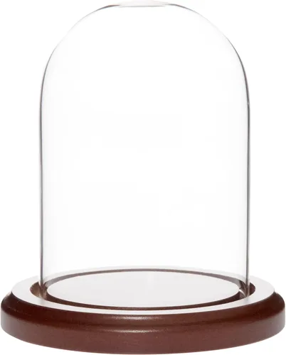 Vista 5 de Plymor campana protectora de cristal para exhibición, de 3 x 4 pulgadas, abovedada