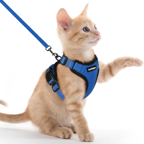 Vista 72 de rabbitgoo Cat Harness and Leash Set, Escape Proof Vest, XXS, Berry Pounce Soft Breathable Mesh, No-choke Adjustable Fit, Snap Buckles, Sturdy