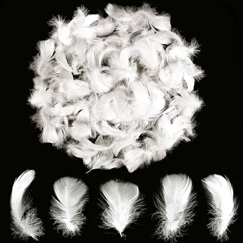 Vista 20 de 300 piezas de plumas negras de 2-3 pulgadas, plumas a granel para manualidades, accesorios para atrapasueños, proyectos de arte, manualidades DIY