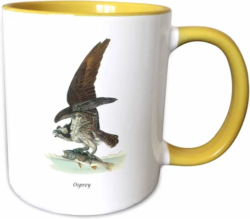 Vista 13 de 3dRose, Taza negra bicolor de 11 oz, negro/blanco