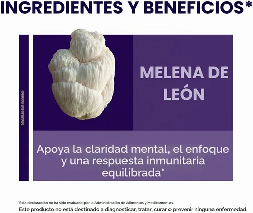 Vista 6 de Host Defense Mushrooms Extracto de Melena de León - Suplemento Líquido de Melena de León para la Salud Cerebral - Soporte de Hongos para el Enfoque