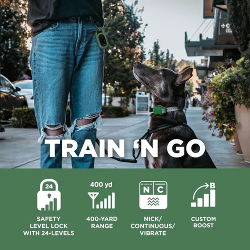Vista 2 de Dogtra CUE Verde – Collar electrónico para entrenamiento de perros con control remoto – Entrenamiento hecho fácil para dueños de perros cotidianos