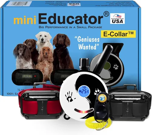 Vista 10 de Educator ET-302 Collar Mini Negro E para Adiestramiento de Perros con Control Remoto - Alcance de 1/2 Milla, Resistente al Agua, 100 Niveles