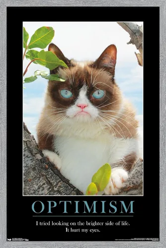Vista 16 de Trends International Grumpy Cat - El Lado Más Brillante Póster de Pared, 14.725 x 22.375 pulgadas, Versión Enmarcada de Madera de Granero