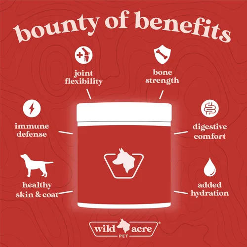 Vista 4 de Wild Acre Caldo de hueso de res prémium para perros, alto contenido en proteínas + colágeno mejorado con mezcla de hongos para huesos fuertes