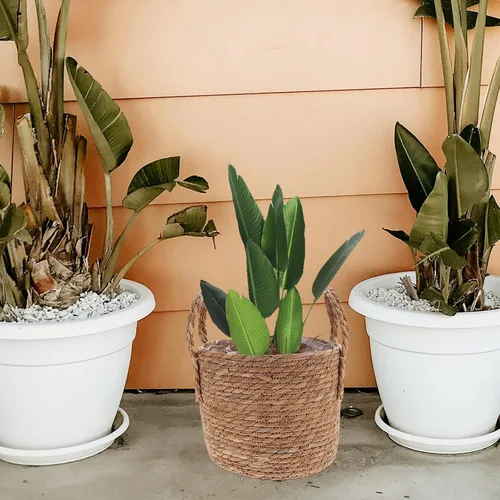 Vista 5 de Cabilock - Cesta tejida para maceta con asas, cubierta decorativa para macetas