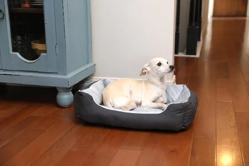 Vista 2 de Petmate Cama para perros pequeños, 20 x 15 pulgadas, para razas pequeñas y medianas