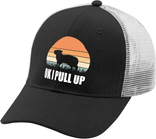 Vista 2 de devor Baseball Cap Ok I Pull Up Baseball Caps for Men Graphic Dad Hats Adjustable