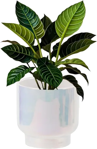 Vista 18 de LB 4.3 Inch Pink Ceramic Flower Plant Pot, Small Succulent Planters Rosa