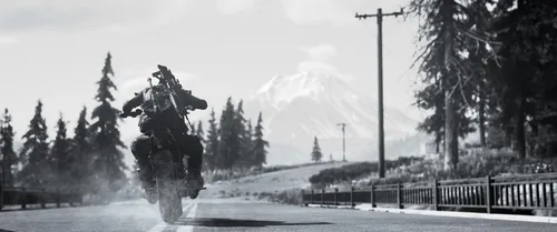 Vista 12 de Days Gone Standard - PC Código de juego en línea