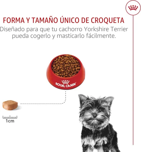 Vista 5 de Royal Canin Breed Health Nutrition Yorkshire Terrier Cachorro Alimento Seco para Perros, Bolsa de 2.5 lb