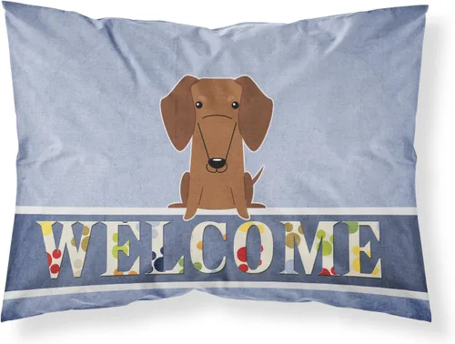 Vista 254 de Caroline's Treasures BB2515PILLOWCASE Between Friends Appenzeller Sennenhund - Funda de almohada de tela estándar, ligera, súper suave, fácil