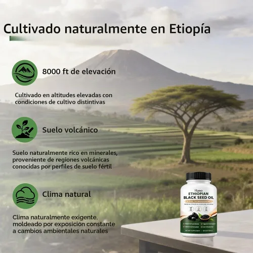 Vista 5 de Aceite de semilla negra etíope Hano con 4.64% de timoquinona, 60 cápsulas blandas