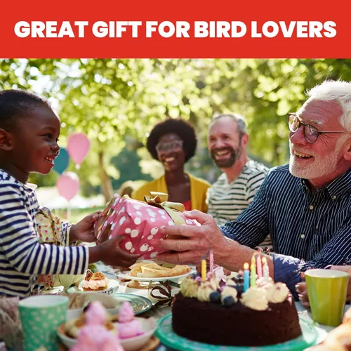 Vista 9 de More Birds Comedero de vidrio vintage para colibríes, capacidad de néctar de 20 onzas
