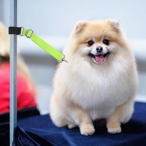 Vista 4 de Paterr 5 piezas de accesorios de brazo de aseo para perros y mascotas, correa de extensión, bucles de aseo ajustables, extensor de brazo de aseo