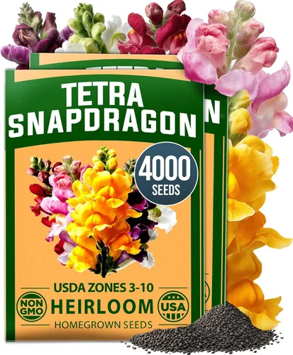Vista 17 de HOME GROWN Semillas de Hollyhock de doble mezcla de Chater, 200 semillas