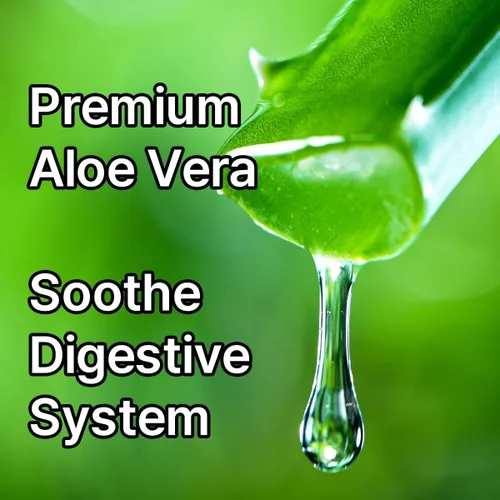 Vista 4 de Eleotin Kalimera Herbal Colon Detox & Cleanse Apoya la salud intestinal y la regularidad digestiva Mezcla natural con apio, aloe vera, alfalfa