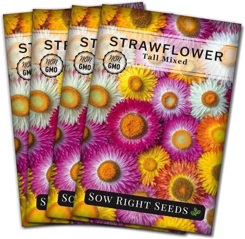 Vista 9 de Sow Right Seeds - Semillas altas de fresa mixta - Paquete de reliquia sin OMG con instrucciones para cultivar - Hermoso para plantar en tu jardín