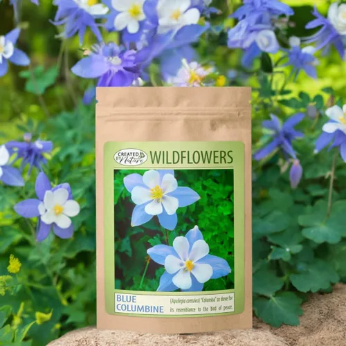 Vista 2 de Semillas de Columbina Azul, Aquilegia caerulea, Perenne, 2,400 Semillas, 45 pies cuadrados Pollinator-friendly Blue Columbine seeds attract bees