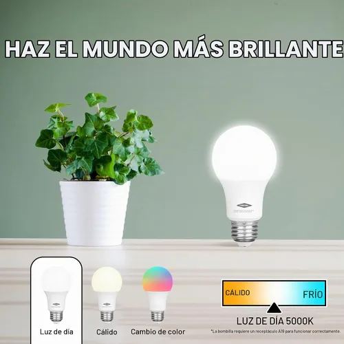 Vista 5 de REGAL - Bombilla LED A19 (800 lúmenes, 9 W, equivalente a 60 W, base E26, intensidad no regulable)