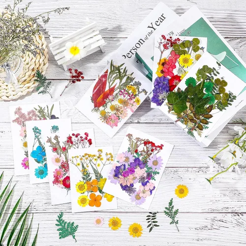 Vista 5 de Nuanchu 200 piezas de flores secas prensadas para resina, flores naturales prensadas reales, hojas a granel para manualidades, manualidades, arte