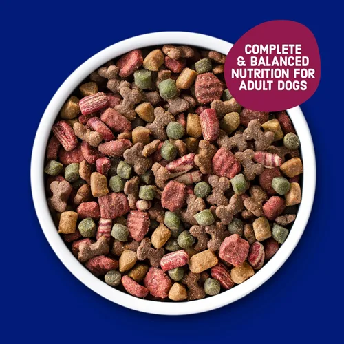 Vista 3 de Kibbles 'n Bits Alimento seco para perros, sabroso sabor a tocino y bistec para perros adultos, bolsa de 3.5 libras Nutrición completa