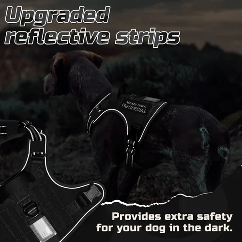 Vista 7 de rabbitgoo Arnés táctico para perros pequeños, chaleco de servicio militar sin tirones con asa y Molle, de fácil control para entrenar y caminar
