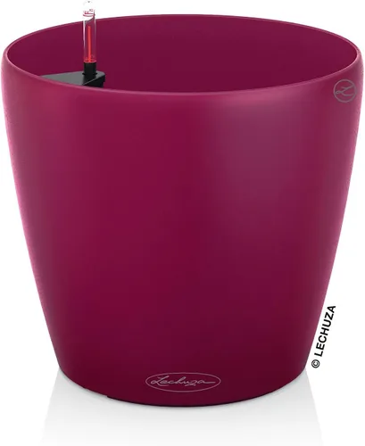 Vista 9 de Lechuza 13183 Classico Color 21 - Maceta autorregable, Nuez Mate